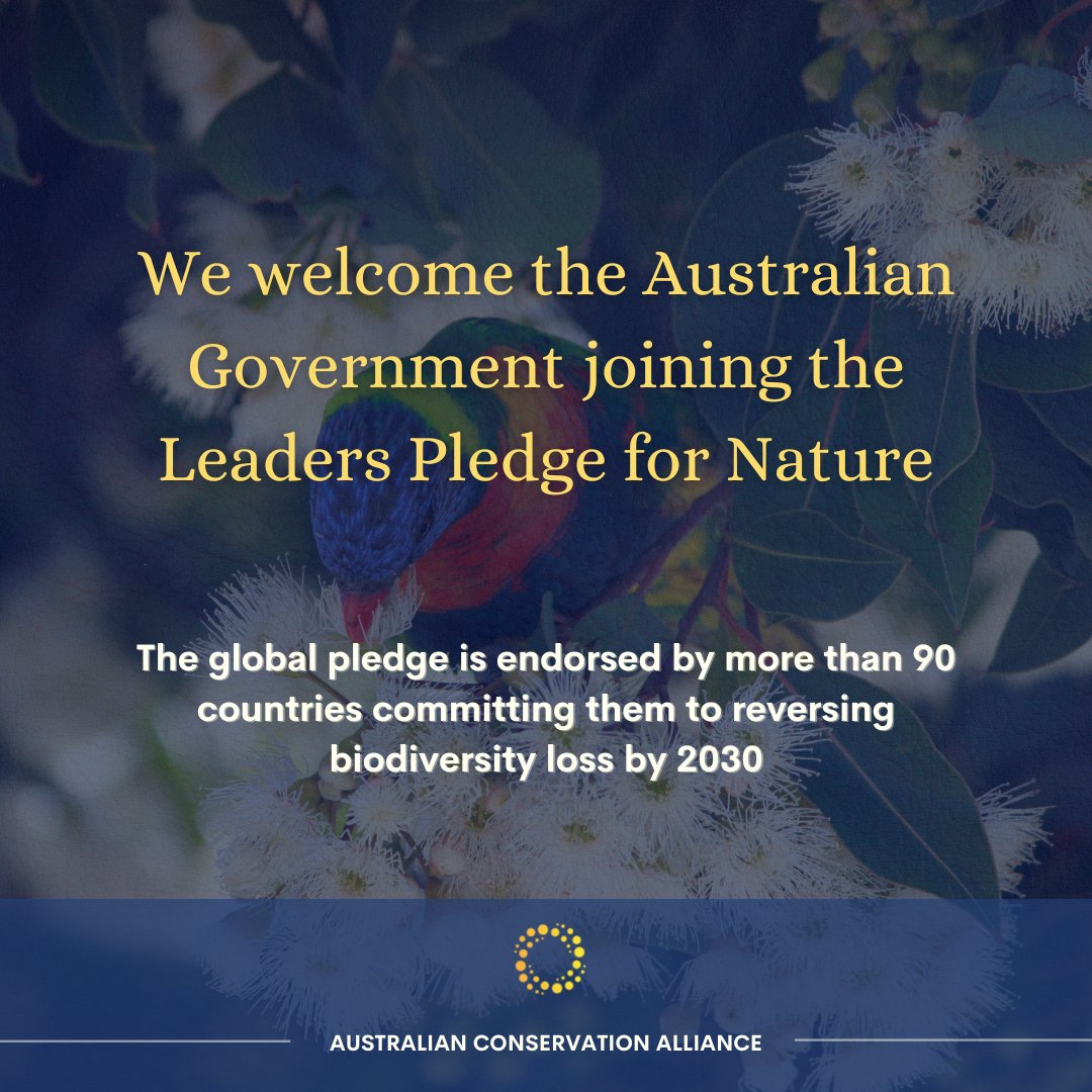 AustralianCons8's tweet photo. We welcome the Australian Government joining the Leaders Pledge for Nature and look forward to seeing action on the Samuel Review and an independent EPA to address Australia’s alarming extinction rates and loss of nature.

#AusPol #biodiversity https://t.co/8K2coXZoG0