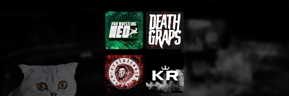 Pro Wrestling NEO (@pw_neo) on Twitter photo 