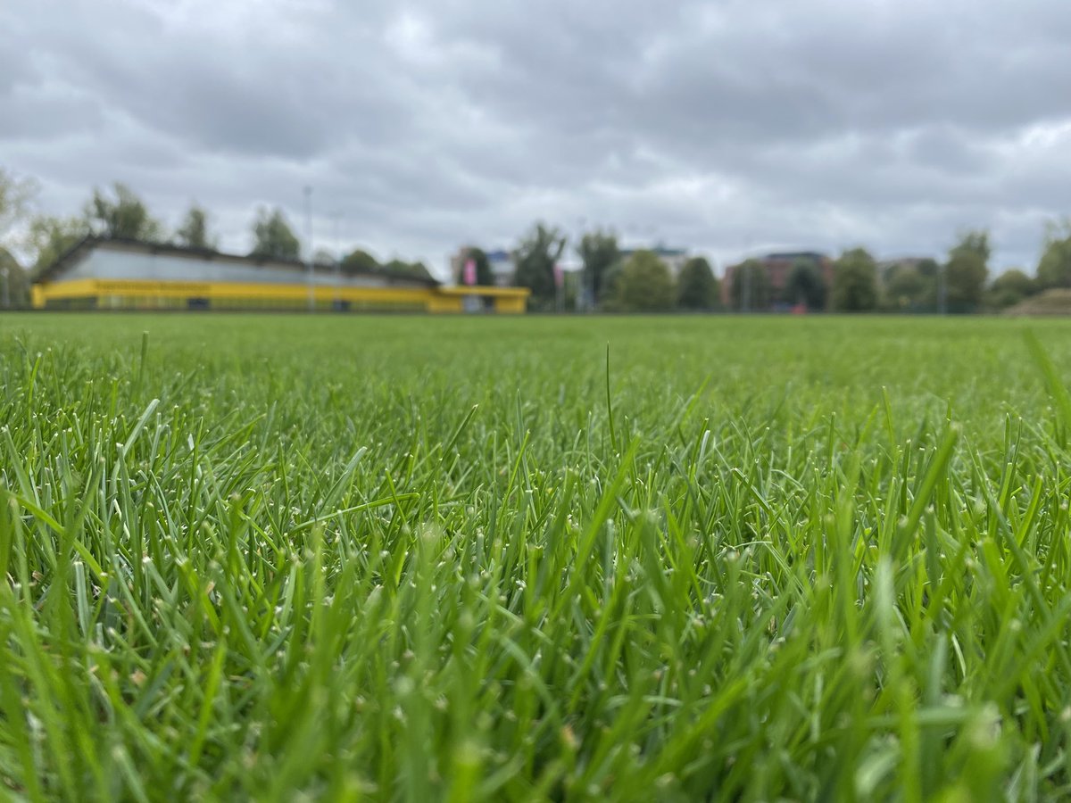 angus_olding's tweet photo. Great week in Nijmegen, Netherlands with some international Barenbrug colleagues for the YPAC 2022 meeting. Fascinating learning about some farming and turf systems as well as current challenges over there…We managed to bring some much needed rain over with us! @BarenbrugGroup https://t.co/33U0zbObwZ