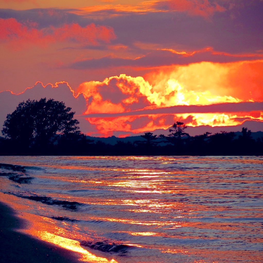 MitchandMarcy's tweet photo. @Giselleinmotion @LiveaMemory @fionamusiclakes @gfreetraveler @LindaPeters64 @MadHattersNYC @GoodLifeWithIQ @sl2016_sl @perthtravelers @CharlesMcCool @live4sights @180books @4passports @DrKerryS Thank you Giselle for your hosting efforts; For you, a #Top4Theme of #Top4Faves,  #PureMichigan #orange raves.  
🌅 📸 #mitchandmarcyphotos

↖️ #EastBay 
↙️ #GrandTraverseBay 
↗️ #SaintIgnace 
↘️ #WestBay 

🙏🏼 Hosts: @LiveaMemory @fionamusiclakes @gfreetraveler @Giselleinmotion https://t.co/KR8j0NcnkL