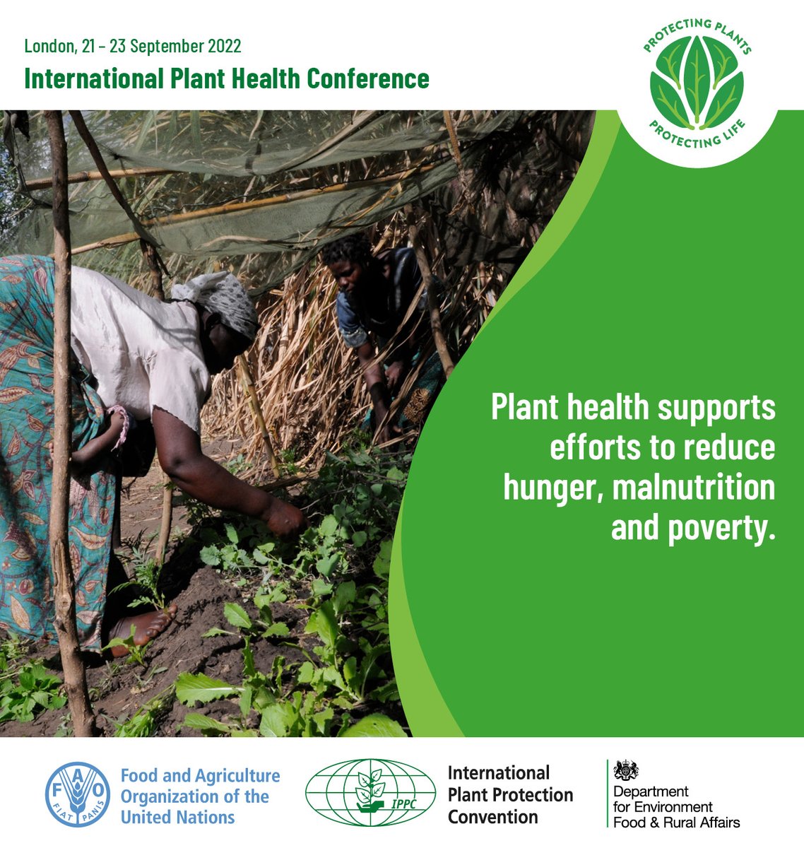ippcnews's tweet photo. #HappeningNow 📢📢📢

Tune in to the first-ever #PlantHealthConference to discover why healthy plants are an essential part of our lives 🌻💚🌍

Follow the plenaries and select parallel and side sessions everyday from 10AM (London time) 👇🏽👇🏽👇🏽

💻 👉🏼 https://t.co/9YiHs7TQal https://t.co/K2UihvmLiB