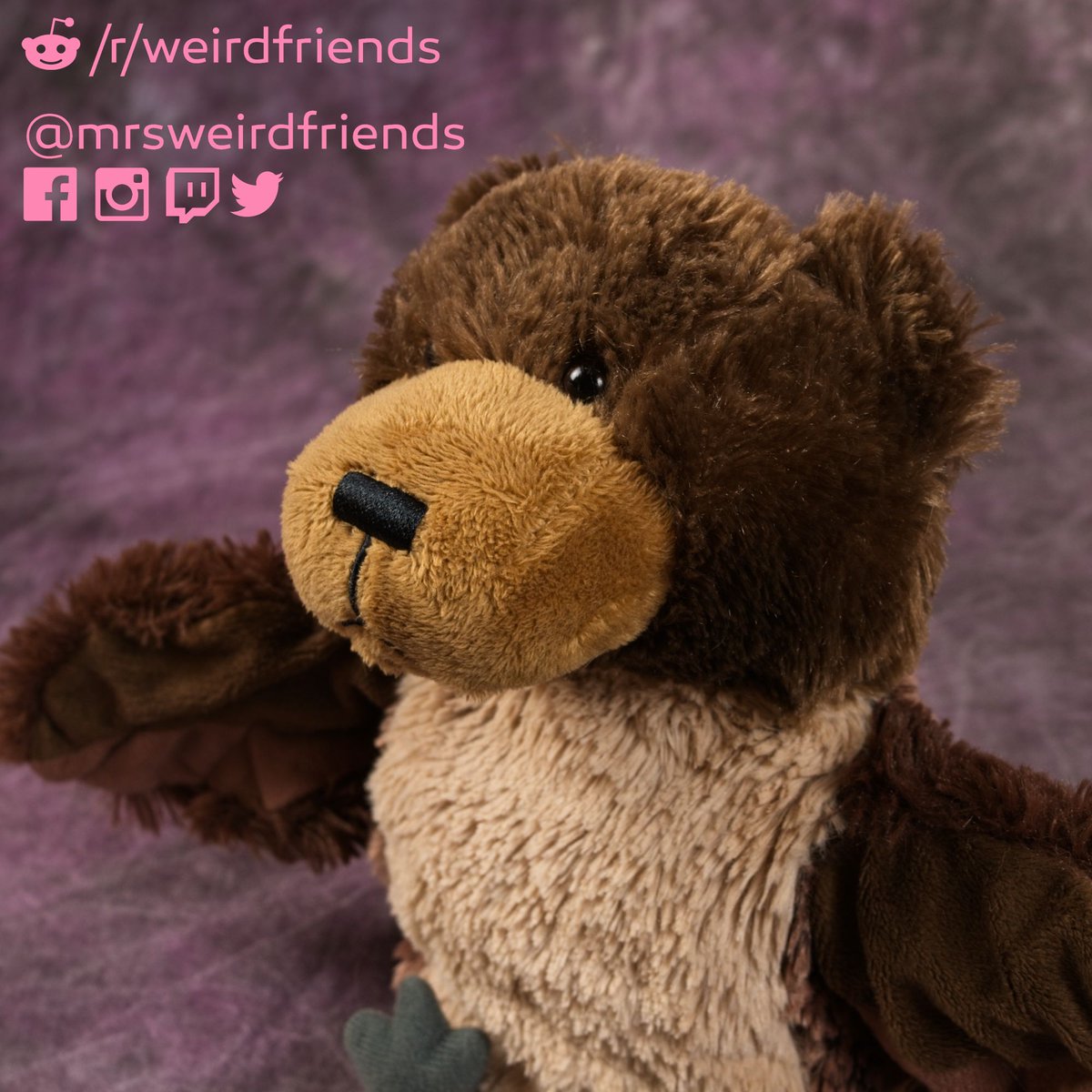 MrsWeirdFriends's tweet photo. Made a Flipcup puppet out of a bear and owl! (I hear the Dangling drip is sold separately) @of_rude https://t.co/WBp0vw8Jnz