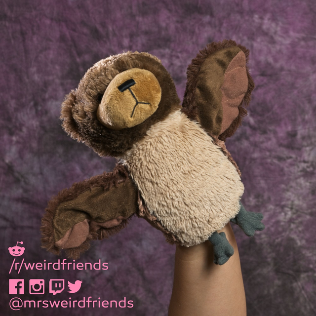 MrsWeirdFriends's tweet photo. Made a Flipcup puppet out of a bear and owl! (I hear the Dangling drip is sold separately) @of_rude https://t.co/WBp0vw8Jnz