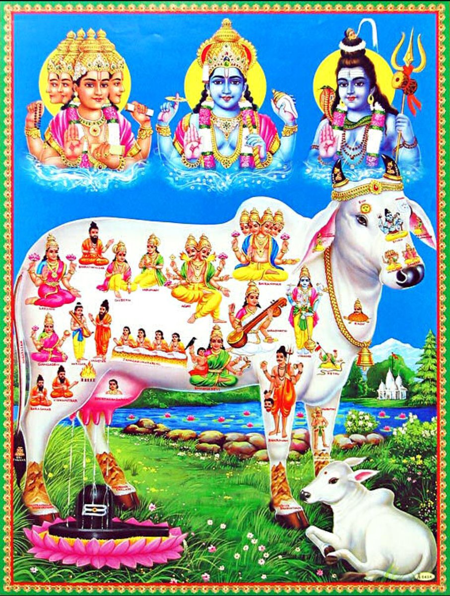 Maddhiletti's tweet photo. #SaveCows
Please save cows 😢😢😢
@narendramodi 
@rashtrapatibhvn 
@Dept_of_AHD 
@PetaIndia 
@peta https://t.co/0fe6ESiDRb