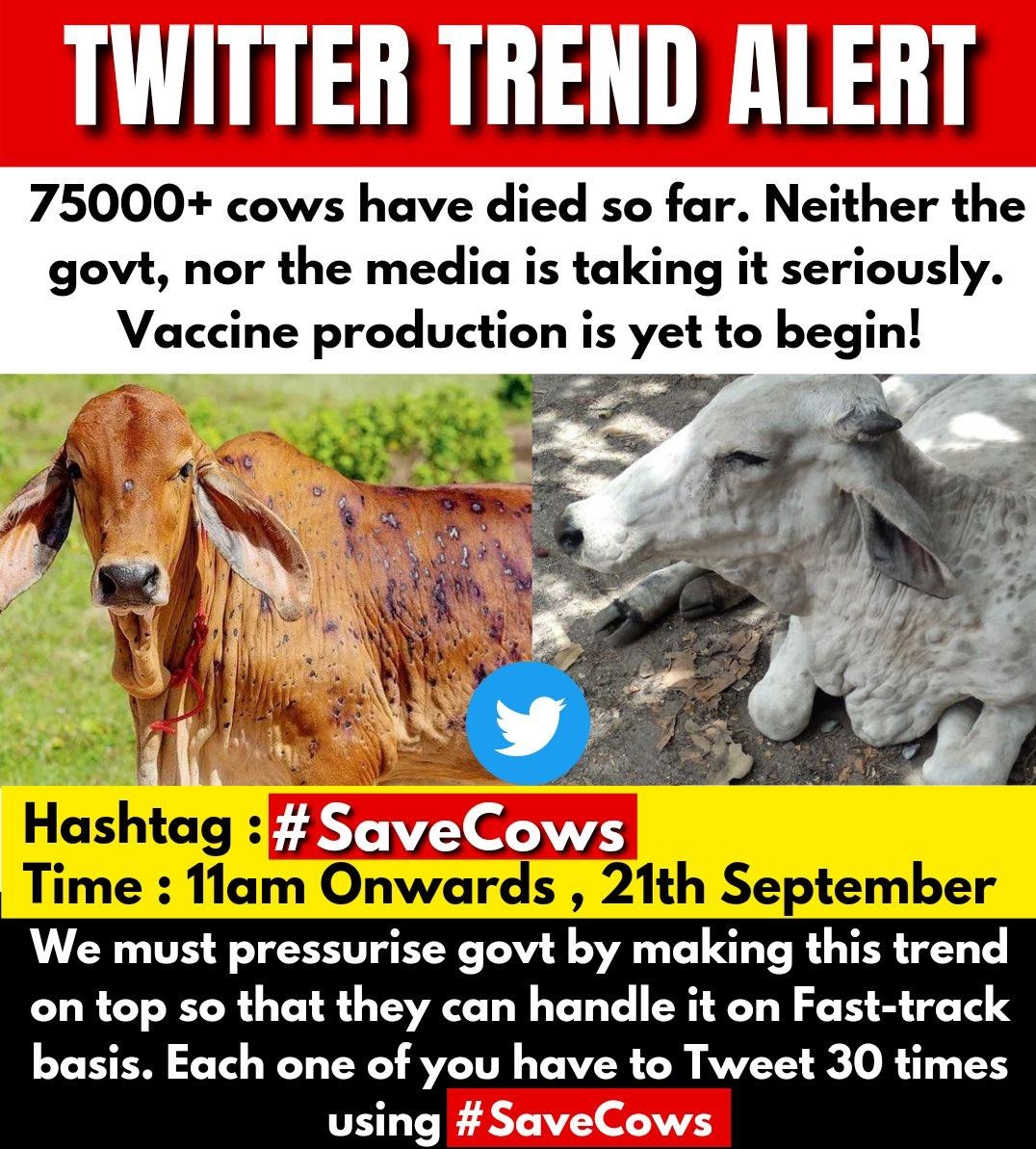 OfficialTeamPs's tweet photo. 😞गौ माता की दुर्दशा से हम सभी दुखी हैं। 

सरकार कार्य कर रही है लेकिन संतोषजनक नहीं  हमें सरकार पर दबाव बनाना होगा ताकि इस मामले में राजनीति ना हो और "फास्ट ट्रैक" पर कार्य किया जाय

✊सभी साथी बढ़चढकर ट्रेंड में भाग लें और गौमाता के लिए आवाज उठाएं

#SaveCows

🙏🏻जय गौमाता https://t.co/JYsipmj5Tw
