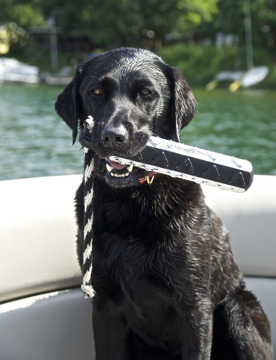 Summer Andrich 
6/21/10 - 9/15/22