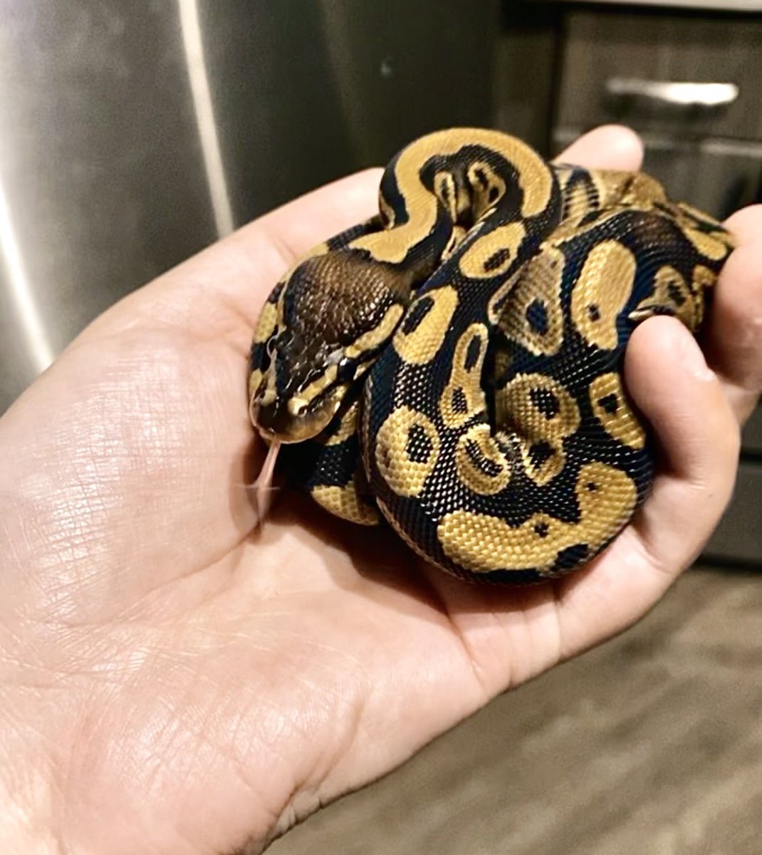 Kendra🤍 tweet media