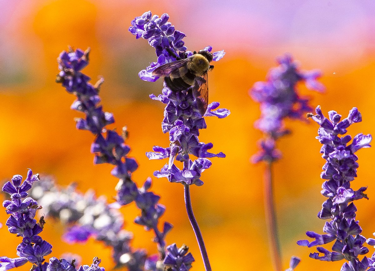 Tristan Lorei tweet media