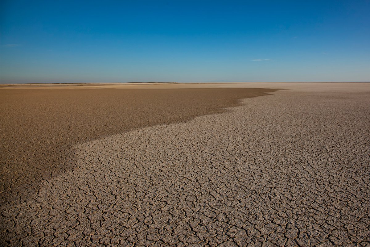 Belkide yaşamı en iyi anlatan fotoğraf. Su hayattır.