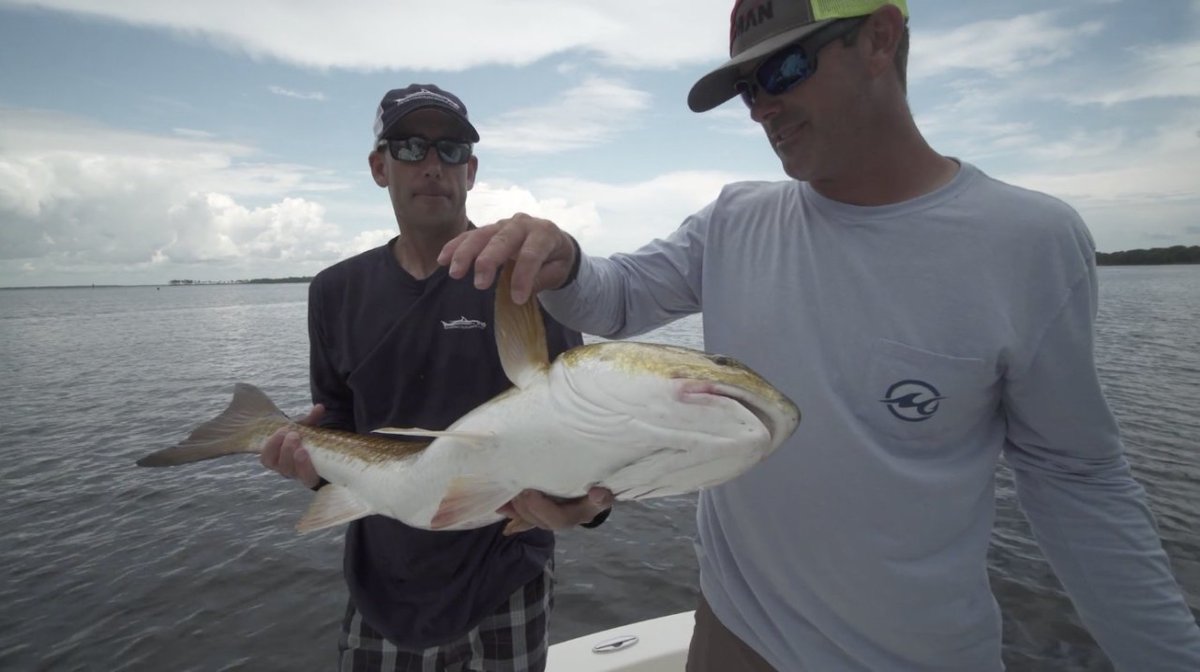 Looking for giant #redfish on topwater? Look no further than #PanamaCityBeach. 🏝 #CTStopred #CTSOD4 bit.ly/2IRlsEq