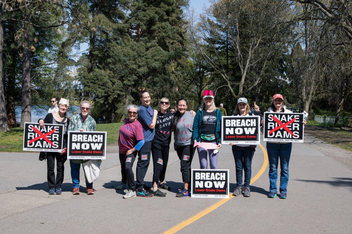KStevensDance's tweet photo. As part of @nationalwaterdance 2022 we danced, walked and carried signs along the Greenlake path to "Stand with Tribes - Breach the Snake - Save Our Salmon" (and ORCAS!)
Photo by: Michelle Smith-Lewis
#freethesnake #breachthedams #savewildsalmon #standwithtribes #danceactivism https://t.co/Ihau7KDYTJ