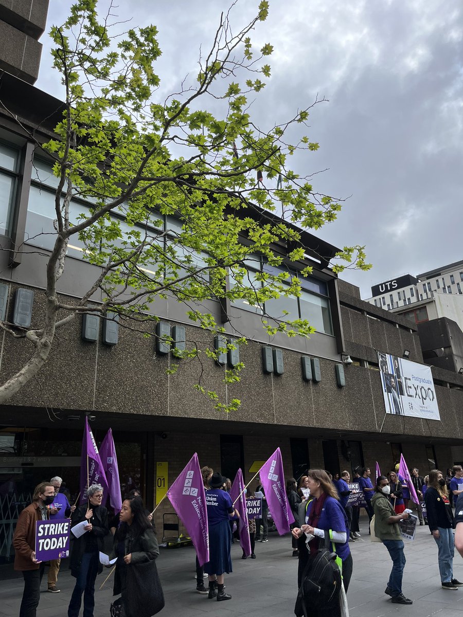 tessschopeters's tweet photo. Because our working conditions are student learning conditions #nteu @NTEUNSW #utsstrike https://t.co/1kDUHPFXMz