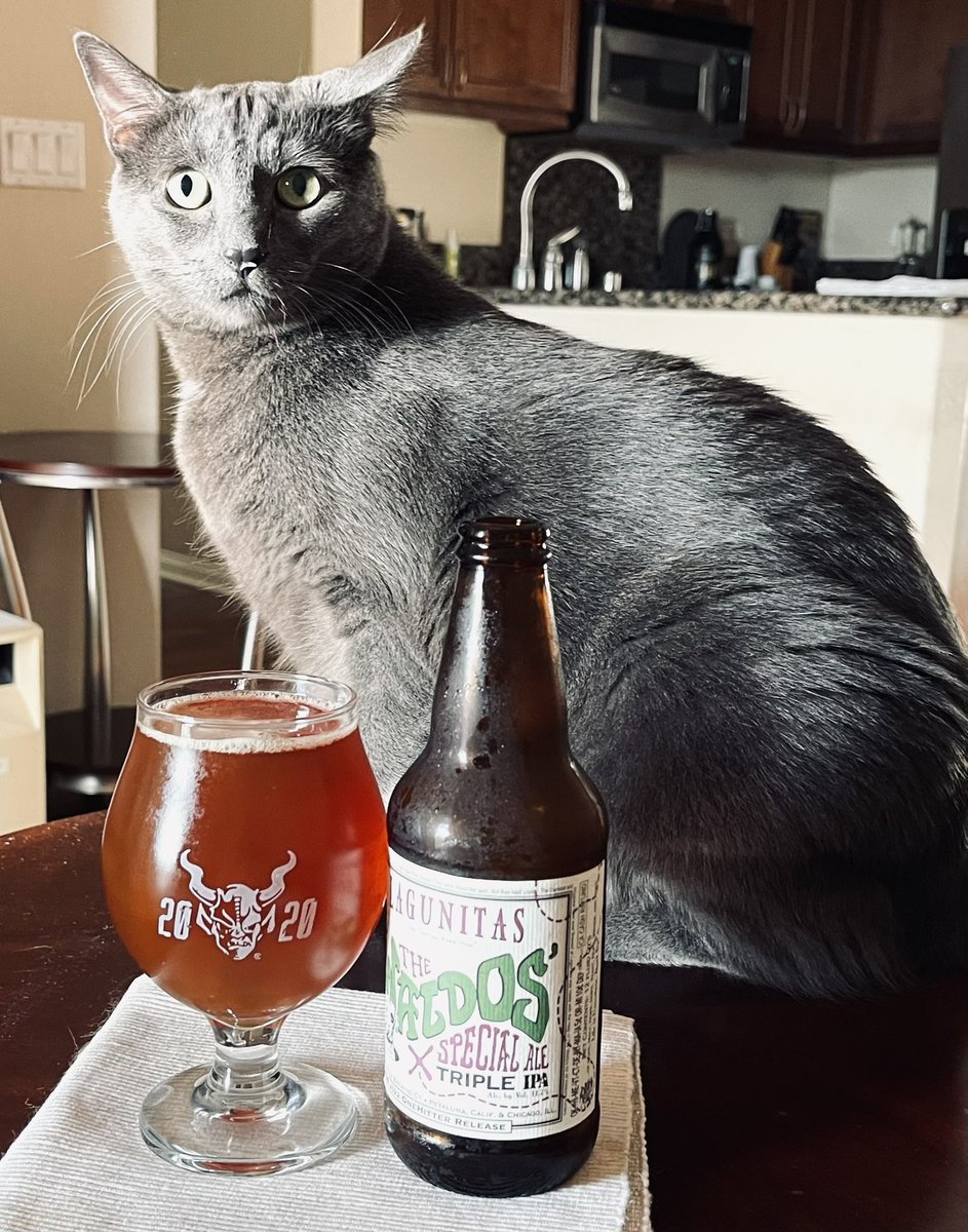 RJellyman's tweet photo. Rd 5 #TopBrewsTues also #10PercentTuesday. Was absolutely mystified on my #beerrun today. They still had 1 4-pack of The Waldos’. I bought it. I now have 15 bottles of this beer, after this one. #Artemis off guard. @JonMontag @zappafaye @Senor_Greezy @cellmavin @JohanBBT @didski https://t.co/s5CIN8HoTl
