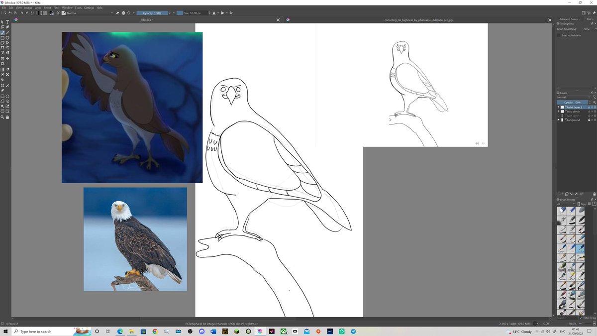 JDTaylorFanFic's tweet photo. Little update for you all.
Still unsure about the chest floof. Any advice welcome π
#Mlinzi #RotRM #Jicho #Eagle #OC #BeginnerArtist #LionKing #FanArt https://t.co/6B0W6s5MU4