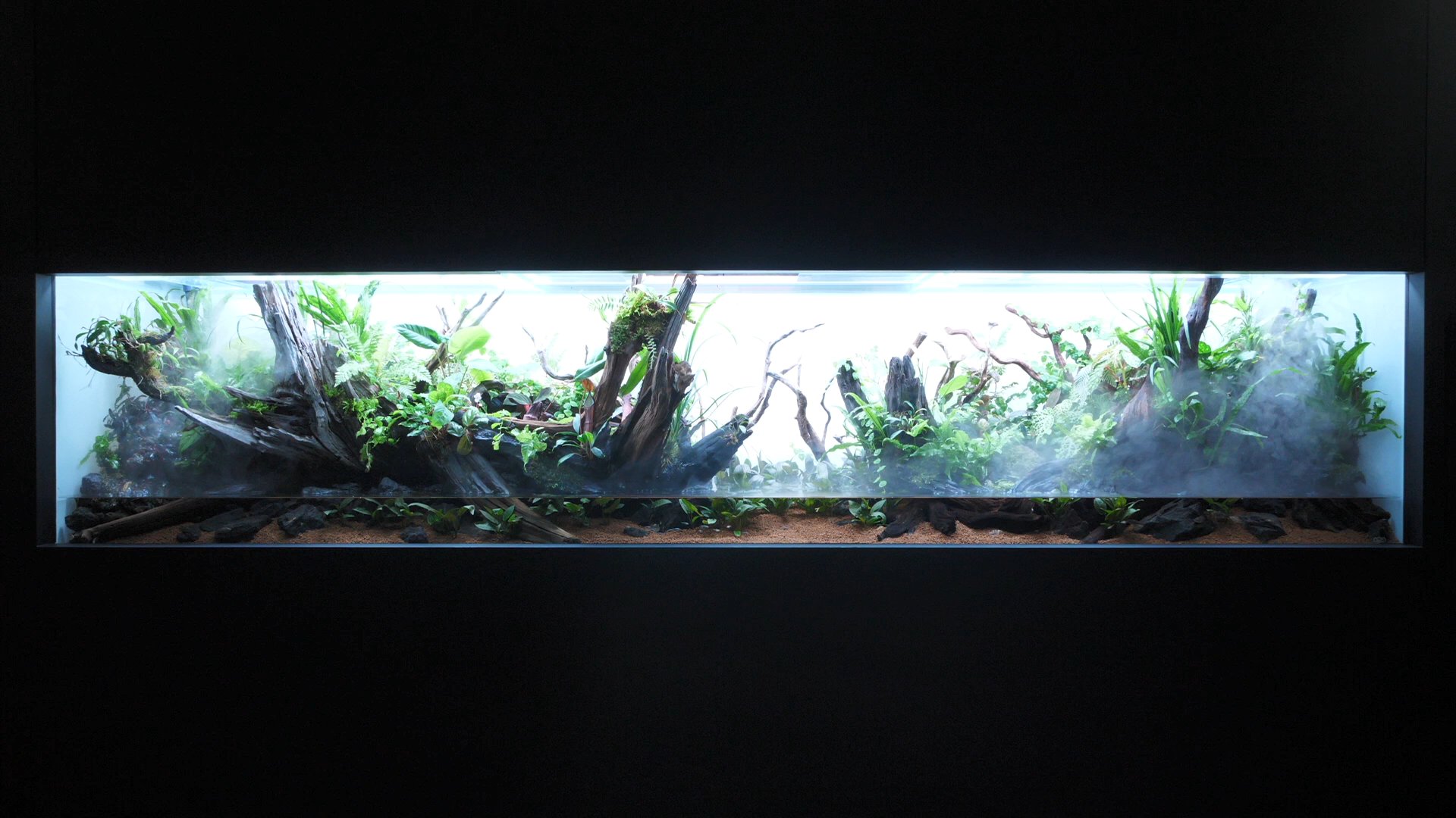 ネイチャーアクアリウム展 22 大阪 Aquariumnature Twitter
