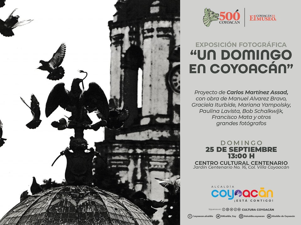 Centro de Coyoacán tweet media