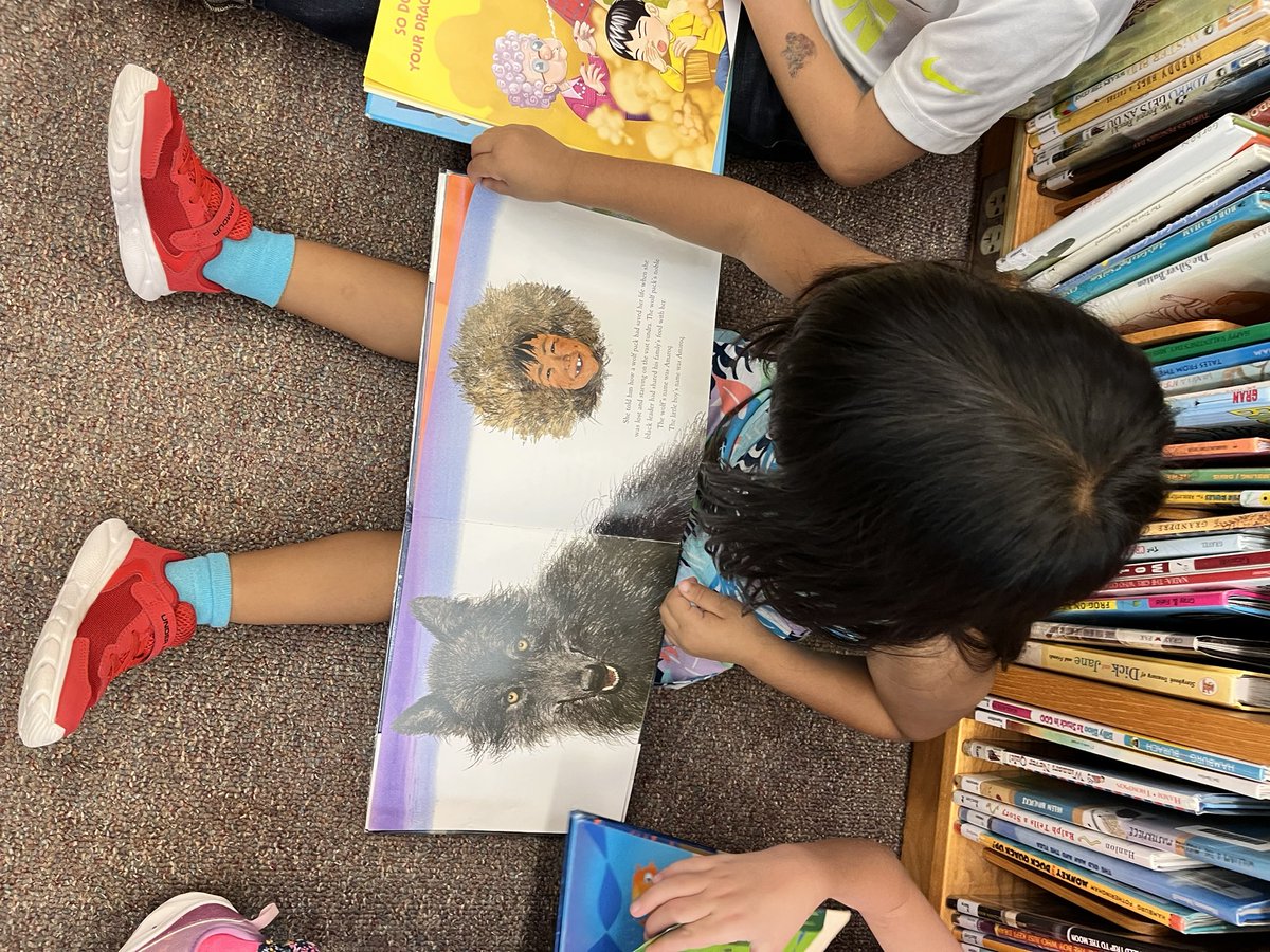 LakesLibrary's tweet image. Kinders hard at work browsing books, turning from the top corner and using shelf markers! @marbarwick #ourhcpslibrary