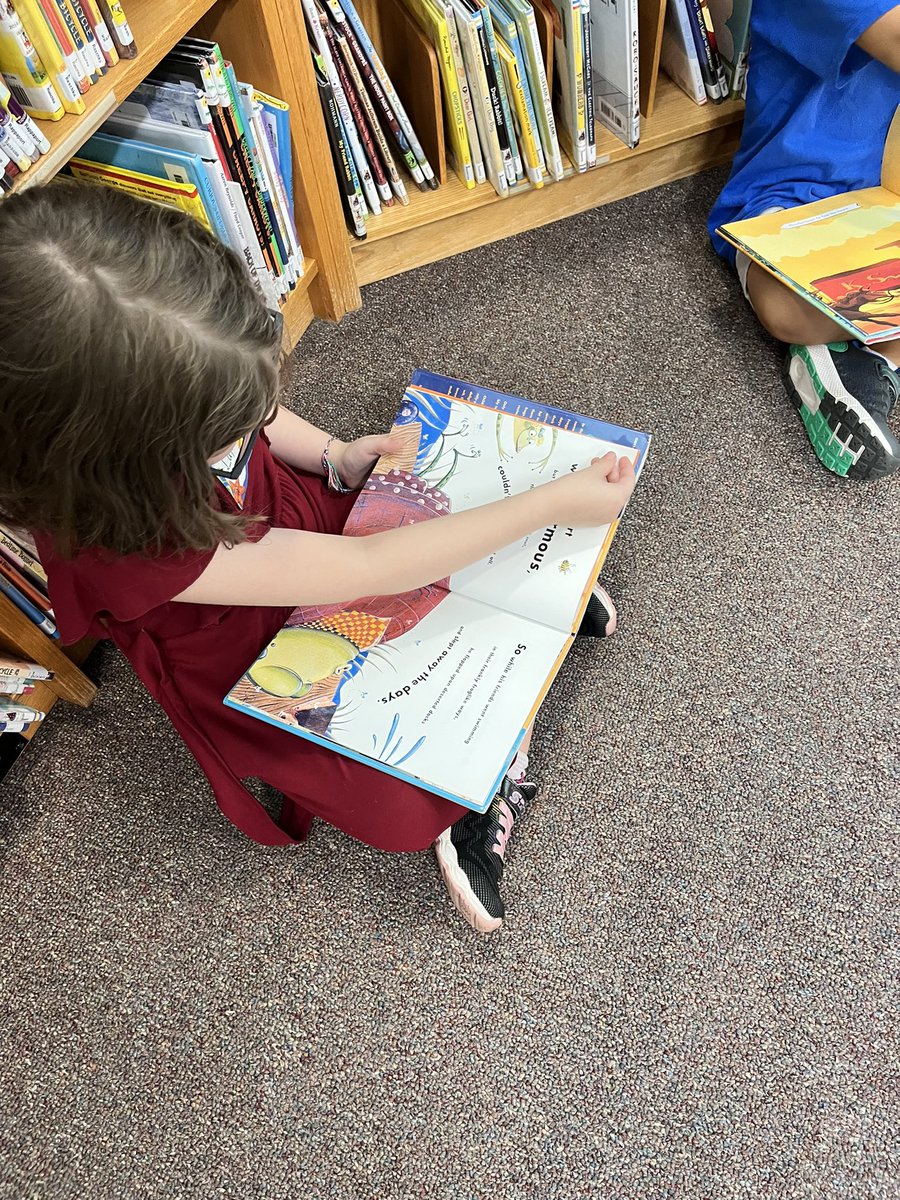 LakesLibrary's tweet image. Kinders hard at work browsing books, turning from the top corner and using shelf markers! @marbarwick #ourhcpslibrary