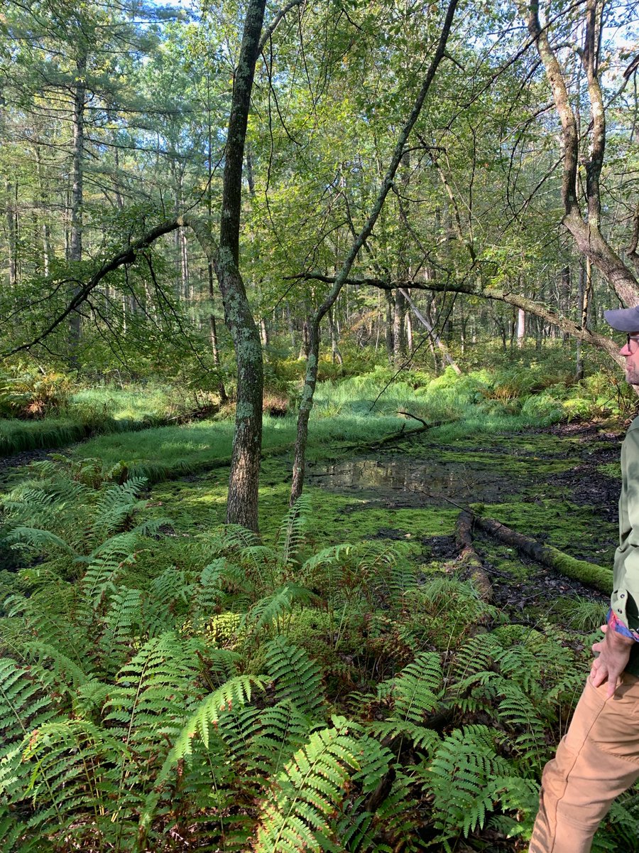 Val LaMore tweet media