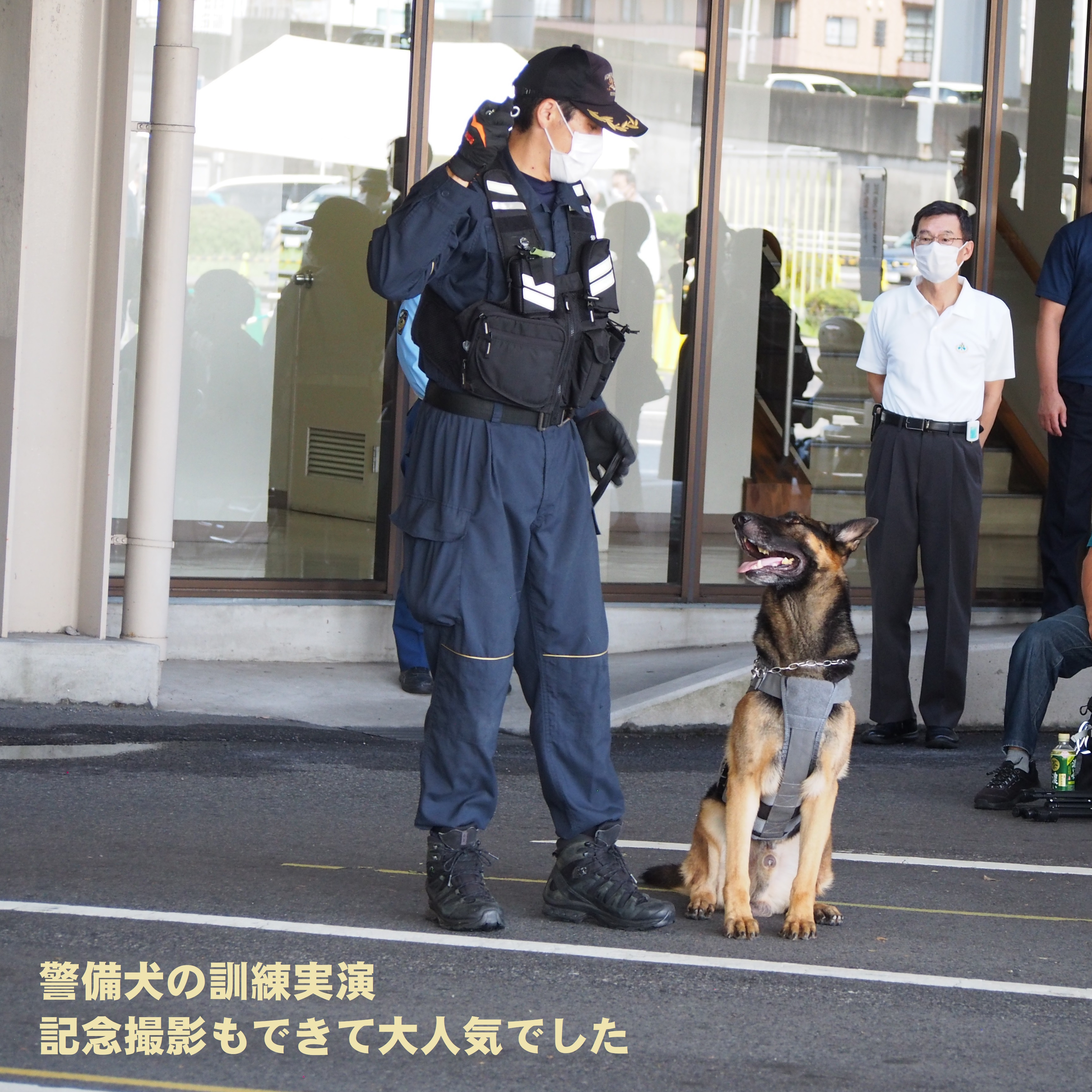 きんたろう Sxbzgncwc9ymajg Twitter