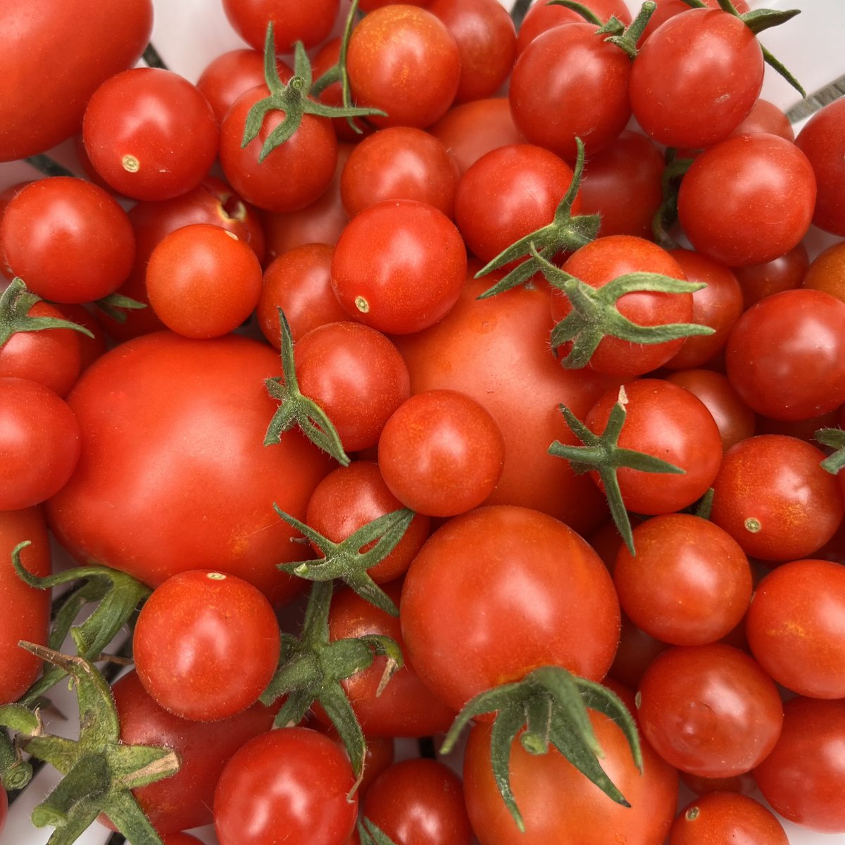 FloodSocial's tweet photo. Another test @SnowBotDev #harvest    

https://t.co/2VFftpUWVg https://t.co/WXXf3jKeUa