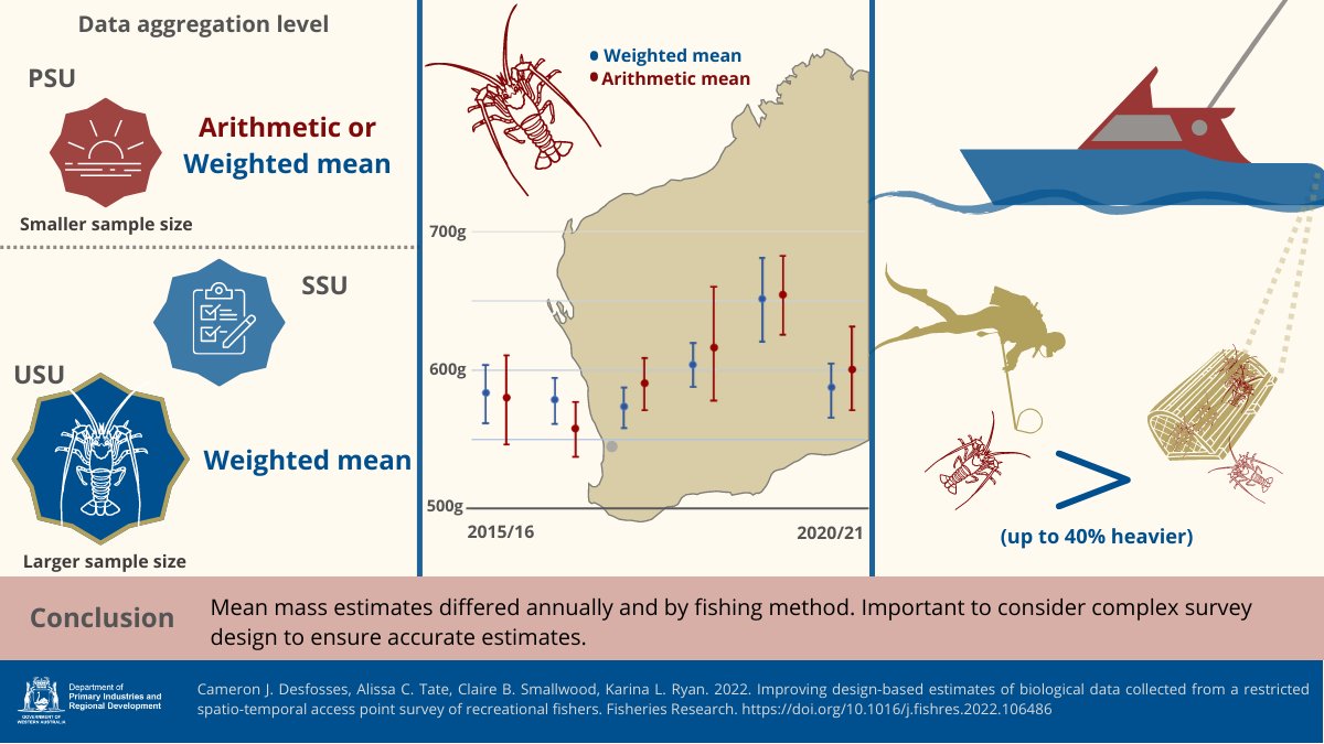 alissa_tate1's tweet photo. We have a new paper in #FisheriesResearch! Another fun collab for our #recfishing team @sheelberight @cb_smallwood & @karinalryan Investigating mean mass estimates of Western Rock Lobster from a restricted access point survey of boat-based #recfishers 🦞https://t.co/2gK4cbAF5u https://t.co/8ipD1zAKz6