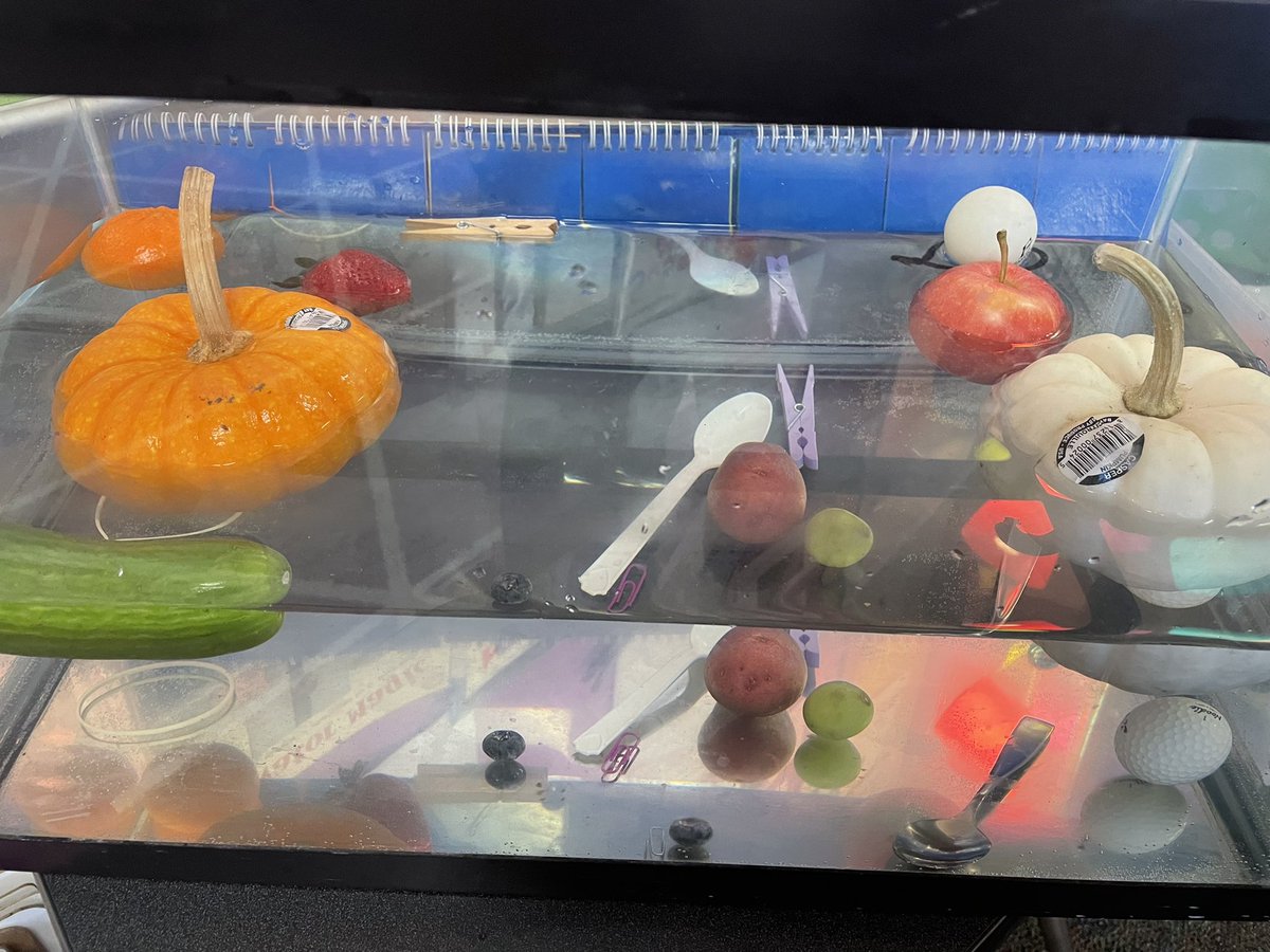 Jennifer Joyner (@mrsjenjoyner) on Twitter photo Exploring physical properties in the classroom. We focused on size, color, texture, mass, and the ability of an object to sink or float <a href="/BernshausenKISD/">Bernshausen Ele.</a> #thepowerofyet Exploring physical properties in the classroom. We focused on size, color, texture, mass, and the ability of an object to sink or float <a href="/BernshausenKISD/">Bernshausen Ele.</a> #thepowerofyet
