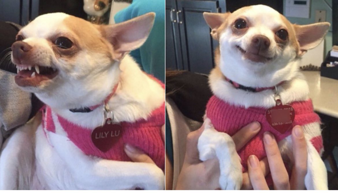 melinasanch4's tweet photo. Seeing Tino on the screen Vs seeing Aven. #TheBachelorette #BachelorNation #bachelorettes https://t.co/YliCRm0gGE