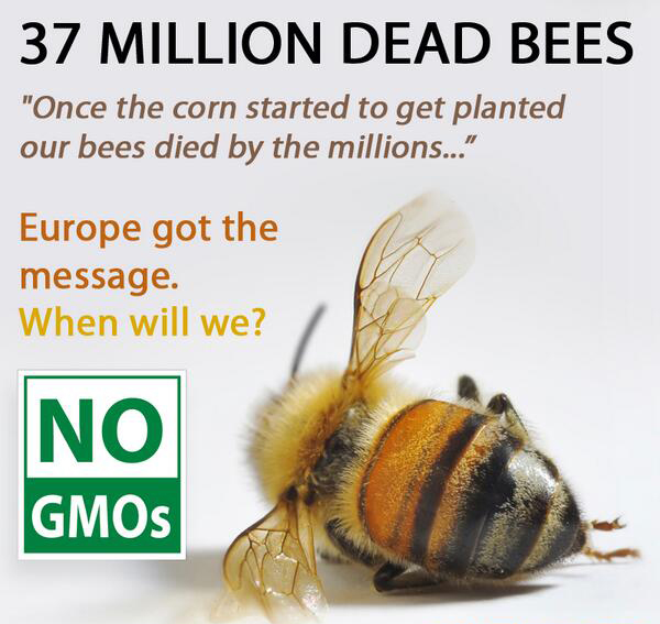 thehealthb0t's tweet image. 