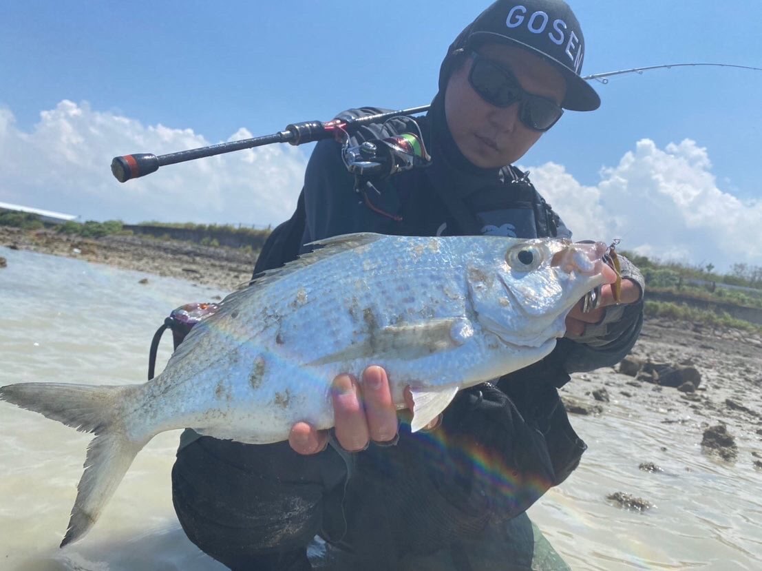 palms_global's tweet photo. Super Light Shore Jigging with Miniature Dax in Japan 🇯🇵
Rod: Pinwheel 77L
Lure: Miniature Dax 7g Red- gold color(H-98)
#palms #palmsfishing #microjig #microjigs #microjigging #lightgame #lightgamefishing #bitarts #metaljig #metaljigs #japanfishing #fishingjapan @palms_japan https://t.co/lkdA0o39bJ