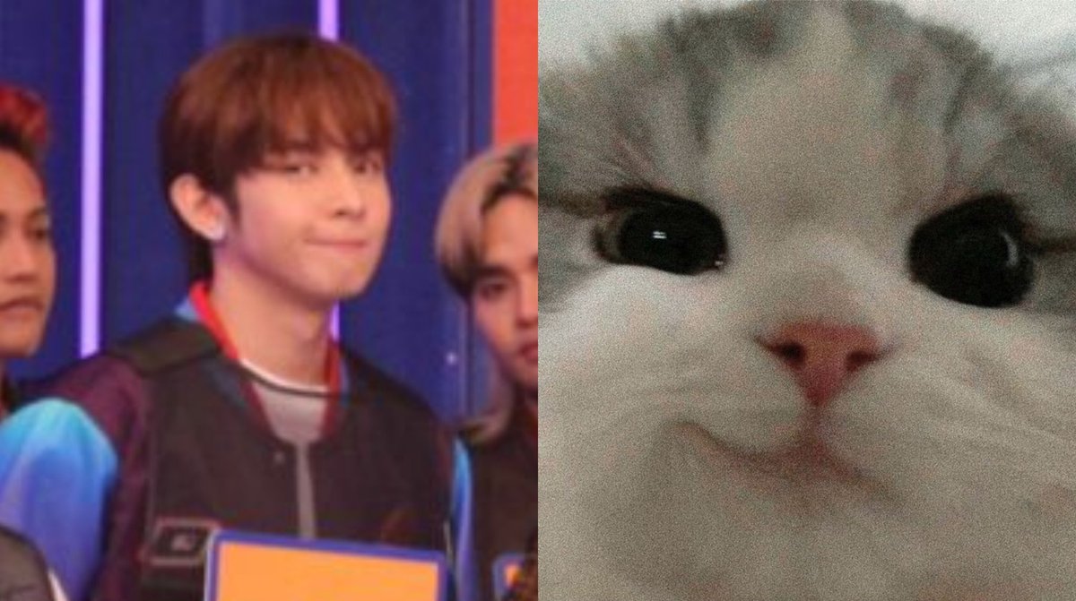 kismetesbi's tweet photo. this cutie 😼 https://t.co/FsNl3rSDRD