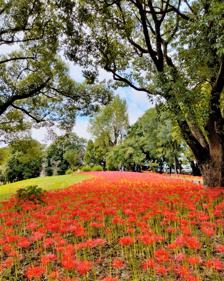 水元公園 公園へ行こう