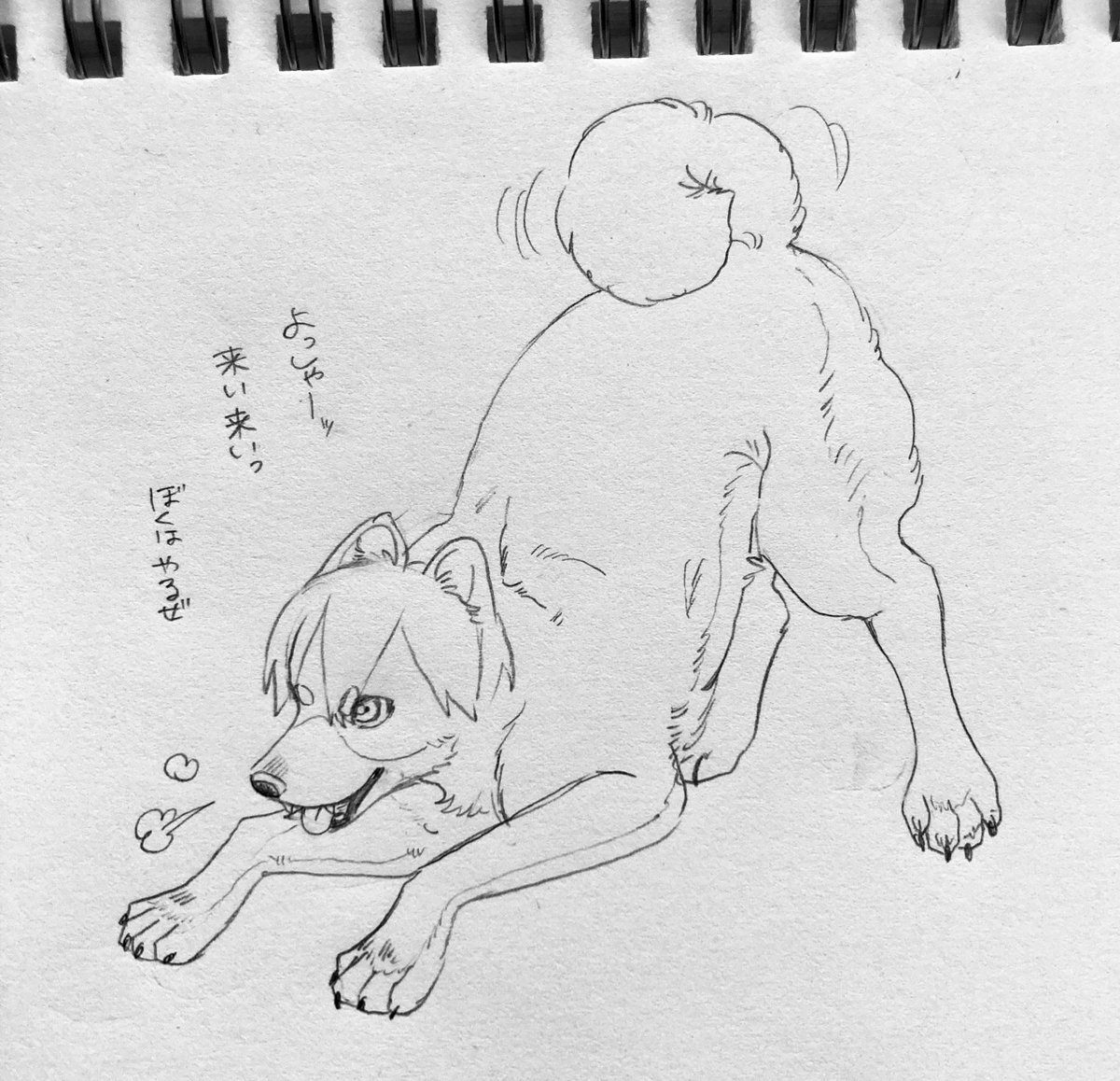 🌈擬獣化🐾
大きい方 
