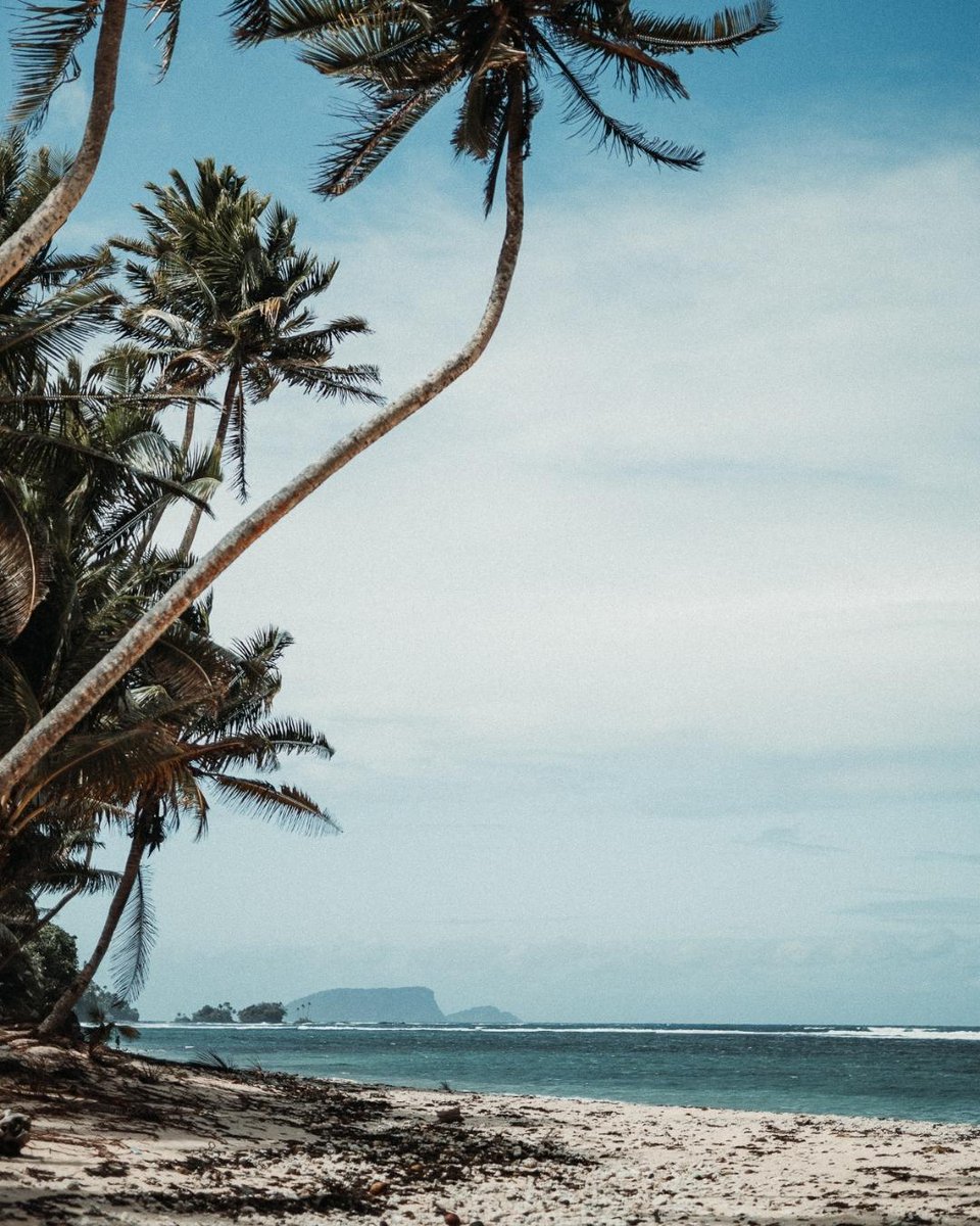 samoatourism's tweet photo. Samoa has never looked better 😍 Who do you want to share this view with? #BeautifulSamoa #DiscoverBeautiful https://t.co/7HtjX8cBx5