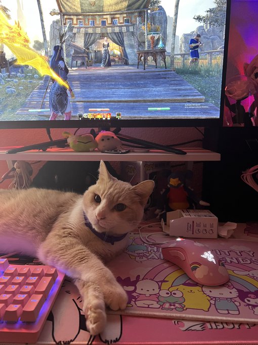 Watch Blodvy's leaked NSFW photo on TwXstars