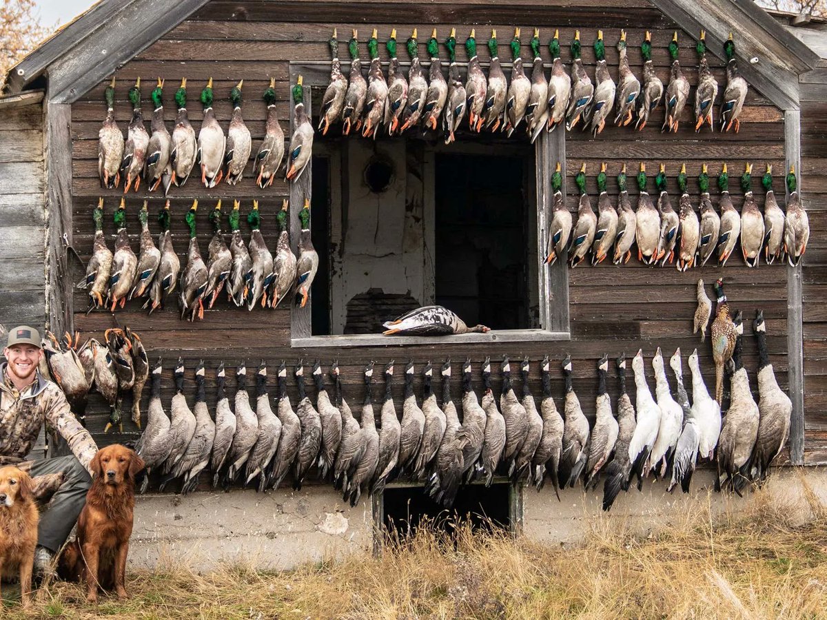 barstoolsports's tweet photo. Instead of Making Fun Of Carson Wentz, Let's Power Rank Every Bird That He Shot And Nailed To A Shed https://t.co/6XS4MMYPhC https://t.co/tpsZKPFOAK