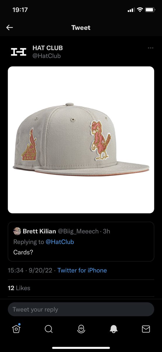 Salad_1's tweet photo. @HatClub  y’all are real ones for this happening https://t.co/VIPZWhK2ao
