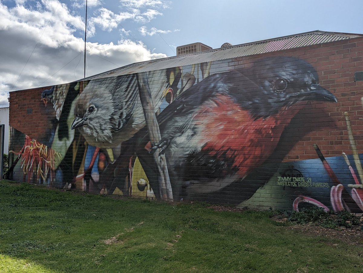 Dr Catherine Ross tweet media