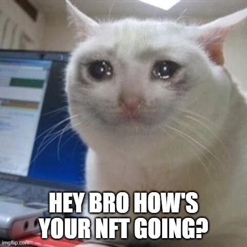 How is it?
#NFTs  #REKT