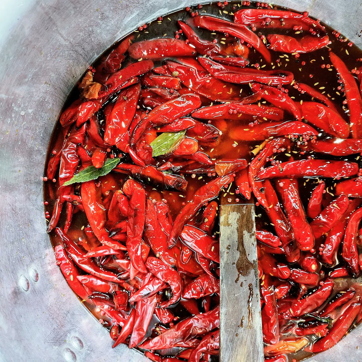 fornocultura's tweet image. In full production of Our BOMBA Spicy Italian spread. Preserving local Ontario Hot Peppers #bomba #peperoncini #friggitello #fornocultura #teamsavoury Part of our seasonal #preserved program Our Kitchen to Ur Pantry.
