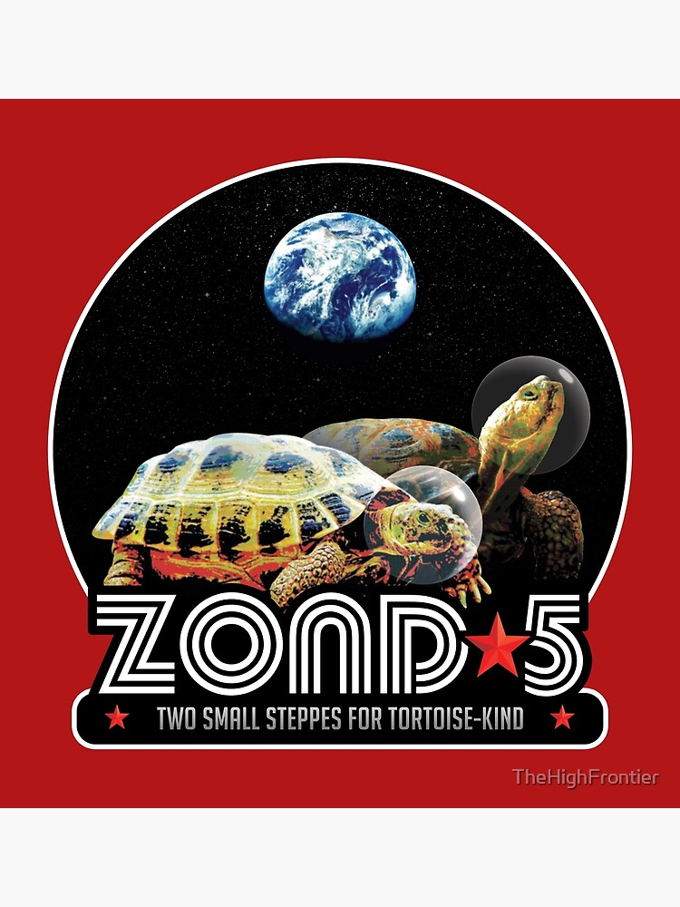 MediaoutletCom's tweet photo. #AdventuresInHistory!
#OTD #TDIH #September21, 1968 #SpaceRace: #ZondProgram: #Zond5, 1st #Spacecraft launched to #TheMoon to return, 1st to bring terrestrial life to #Moon's vicinity, returns to Earth. #SpaceflightFirsts
https://t.co/g1q1BHIdQx https://t.co/SR2DsWrGwm