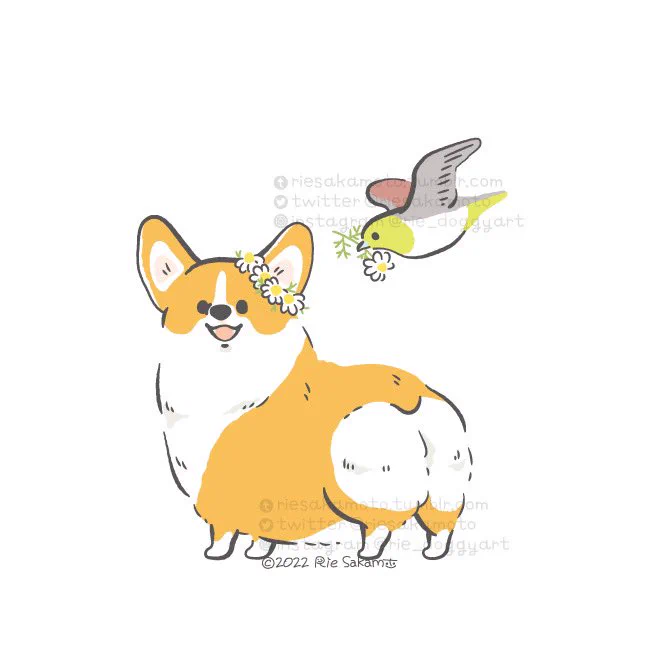 コーギーと野鳥描いてます#Twitter文化祭2022#秋の創作クラスタフォロー祭り 