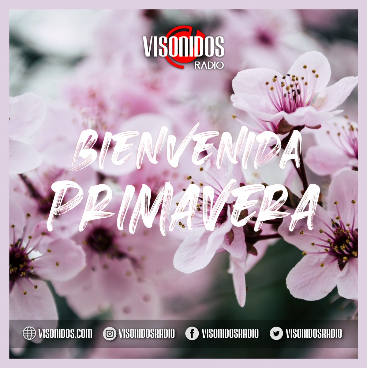 VisonidosRadio's tweet photo. 🌸 Bienvenida PRIMAVERA en el hemisferio Sur! 🌺
▶️ Dale Play a tu #Radio 📻
🌐 https://t.co/cAi0WEcP4j 👈
🎧 La mejor #Musica suena aqui! 👈

#VisonidosRadio #Primavera #Argentina #RadioStation #BuenosAires #Sudamerica #HemisferioSur https://t.co/jkAn6cuGDR