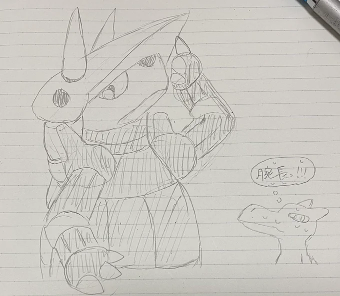 私が書くポケモンにありがちなこと
腕が人間並みに長すぎる 