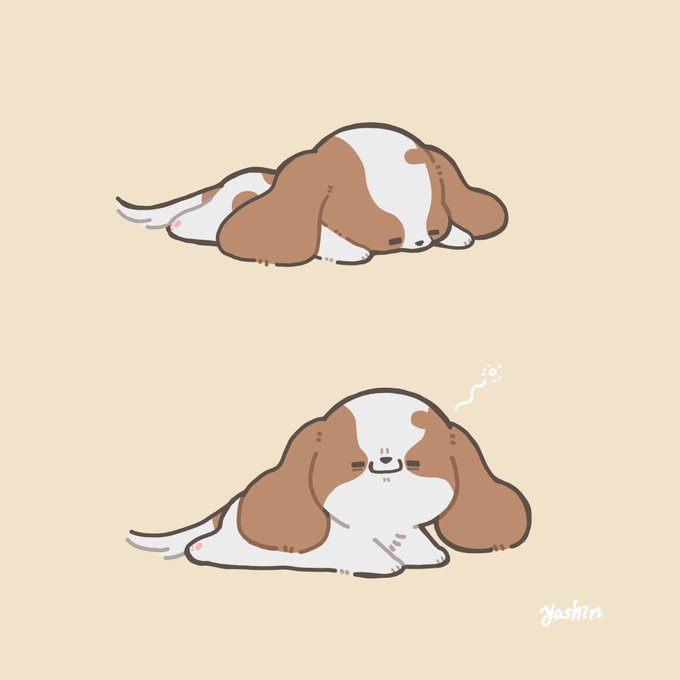 うつ伏せ寝の犬、口に寝ぐせついてる 