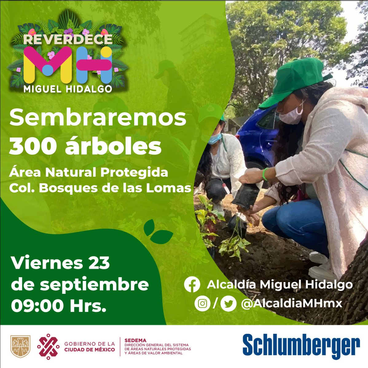 Alex Curiel 🌳🐾😷 🌬 💙 🙏 🇲🇽 tweet media