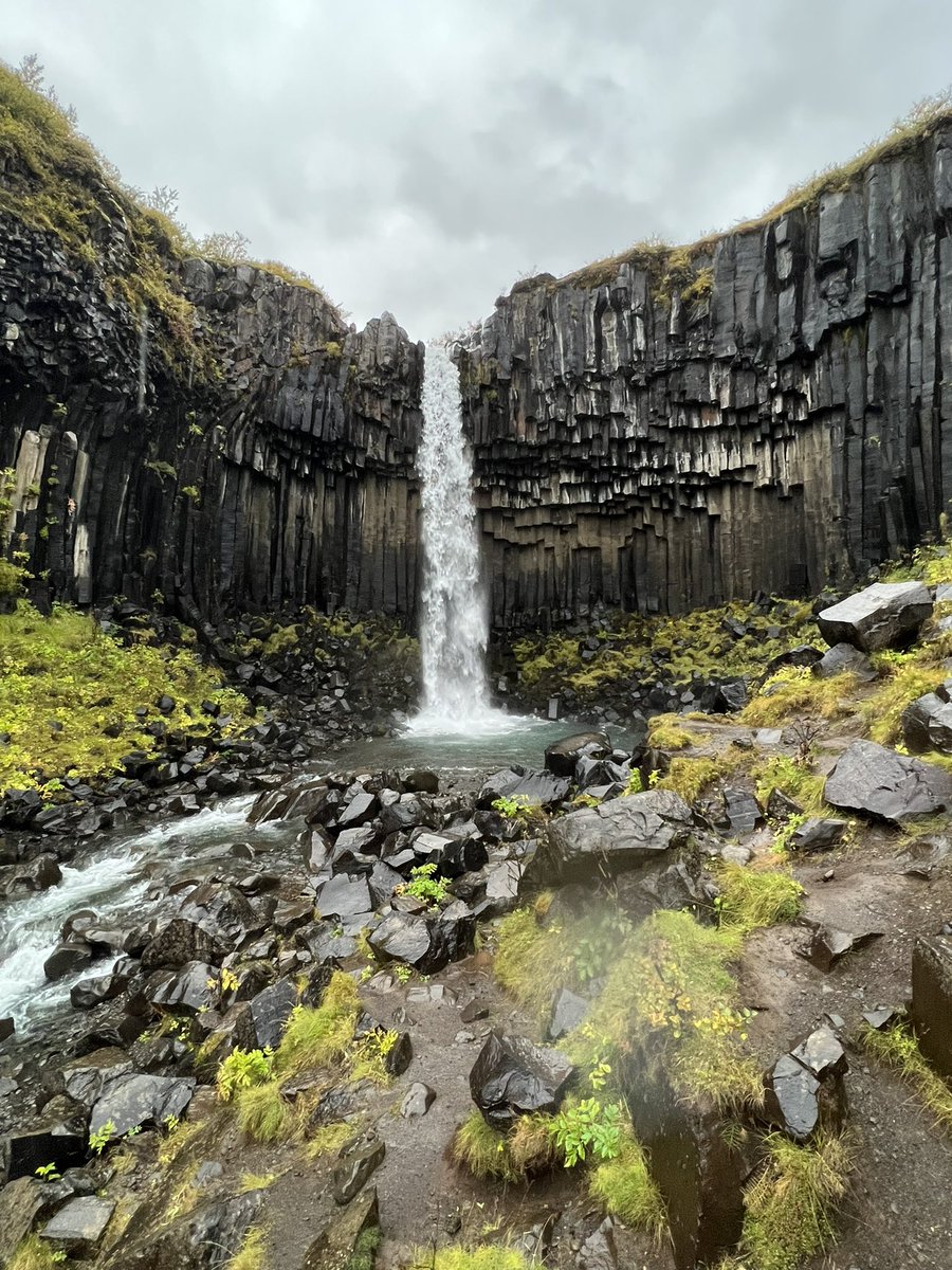 B_Reason18's tweet photo. Sitting in Seattle for my long layover headed home. I miss my dogs. I’ve never been away from home or work for this long but man did I have an amazing time. Iceland will see me again someday. https://t.co/gUkVYdLAJJ