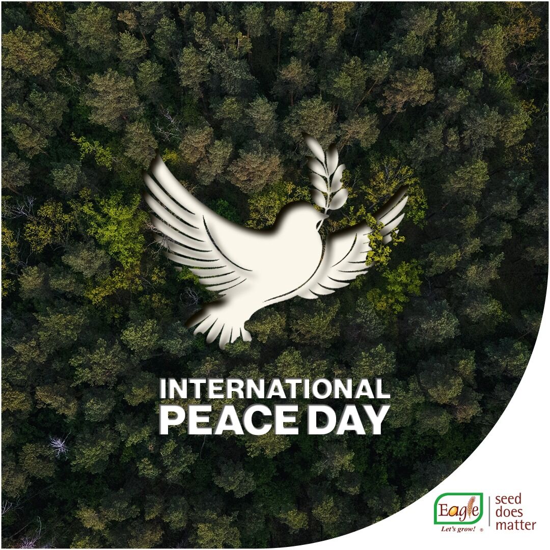 EagleSeeds's tweet photo. May peace prevail on this EARTH !!

Happy world peace day!!

#peaceday #eagleseeds #seeds #agricultural #earth #nature #farming #farmer https://t.co/XMefLKHo4s