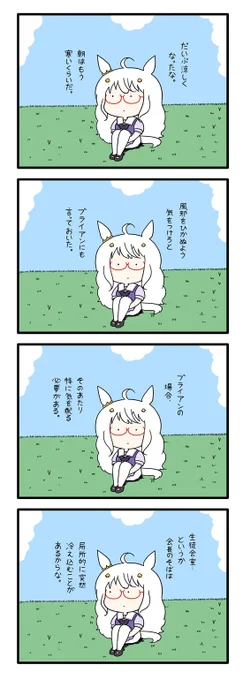 ハヤヒデサン 37 