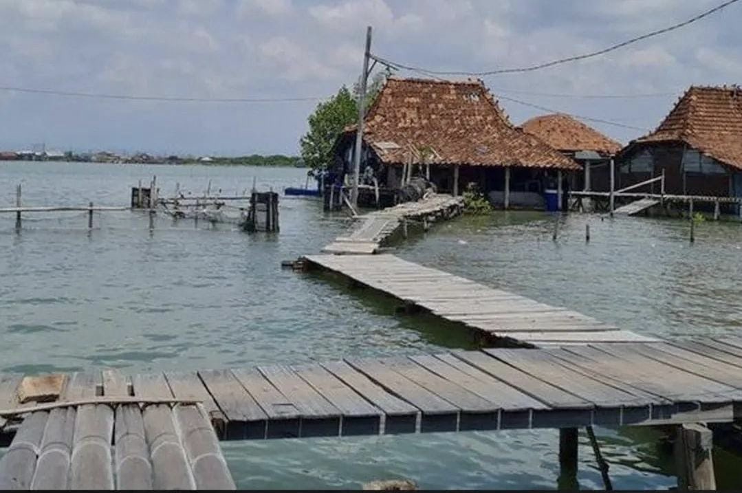 Sumpah kita demi Tuhan, tapi kelakuan seperti setan, demi harta dan jabatan, kita rekayayasa segala aturan.
Bagaimana  semut menjerit, anjingpun sudah enggan melolong. Kehidupan semakin sesak menghimpit, belum nampak juga satria penolong.
Desaku yang ku cinta, kini merana. Demak